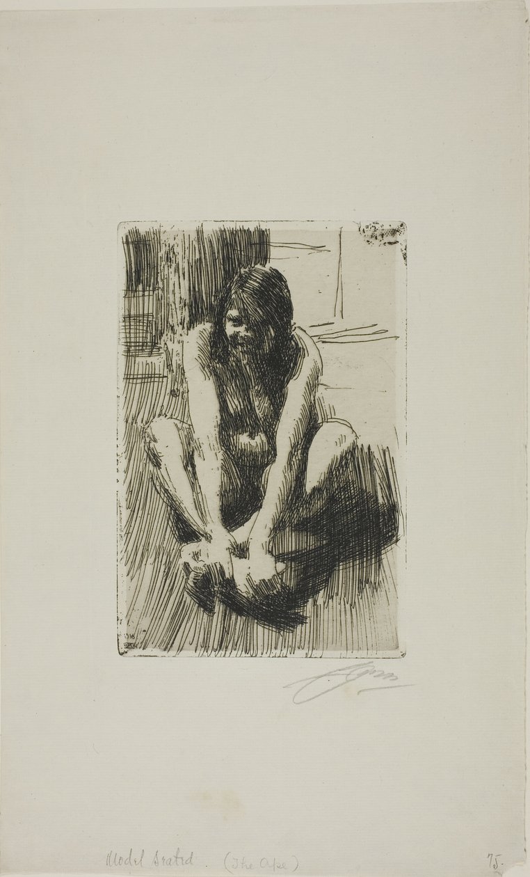 Der Frosch von Anders Leonard Zorn
