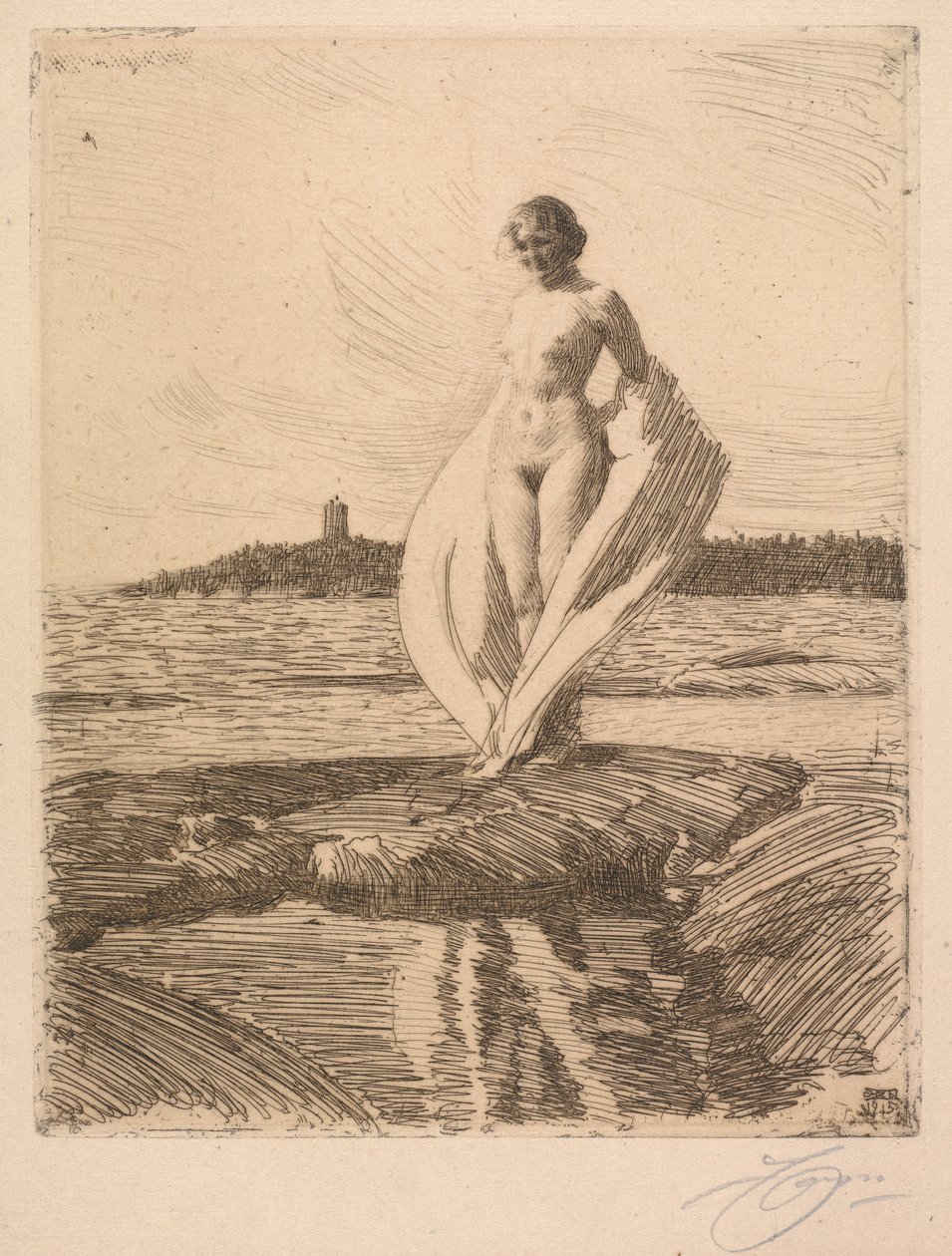 Der Schwan von Anders Leonard Zorn