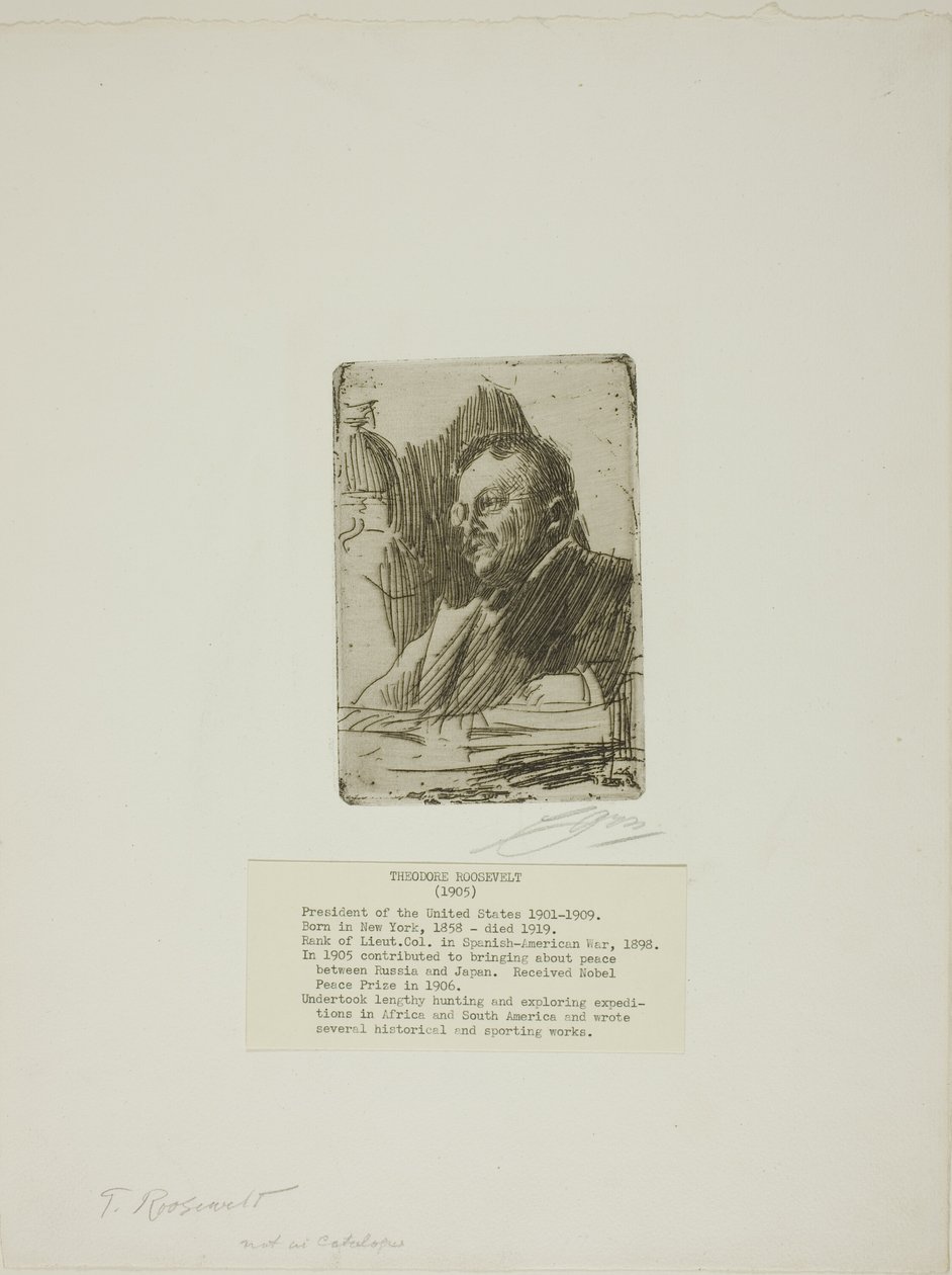 Theodore Roosevelt von Anders Leonard Zorn