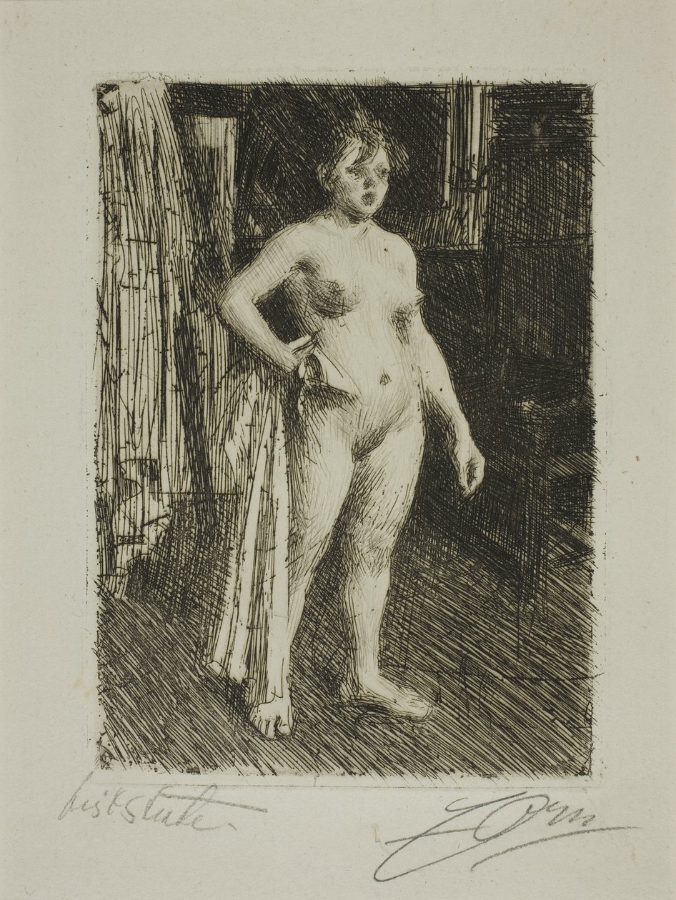 Venus de la Villette von Anders Leonard Zorn