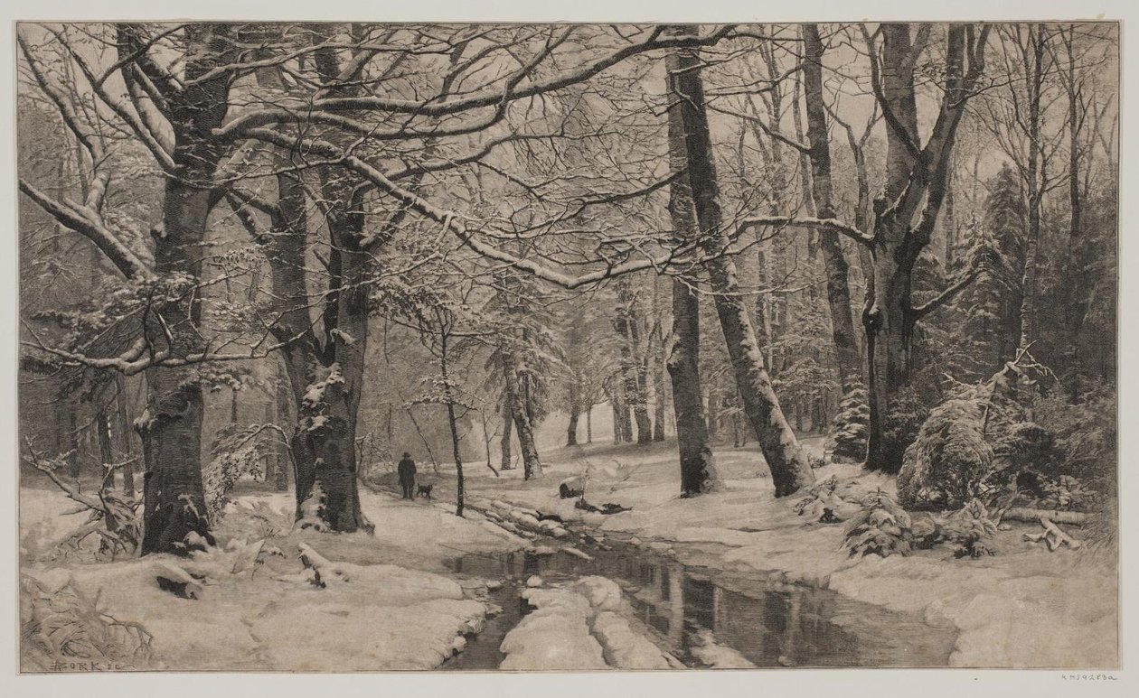 Wintertag im Wald von André Bork