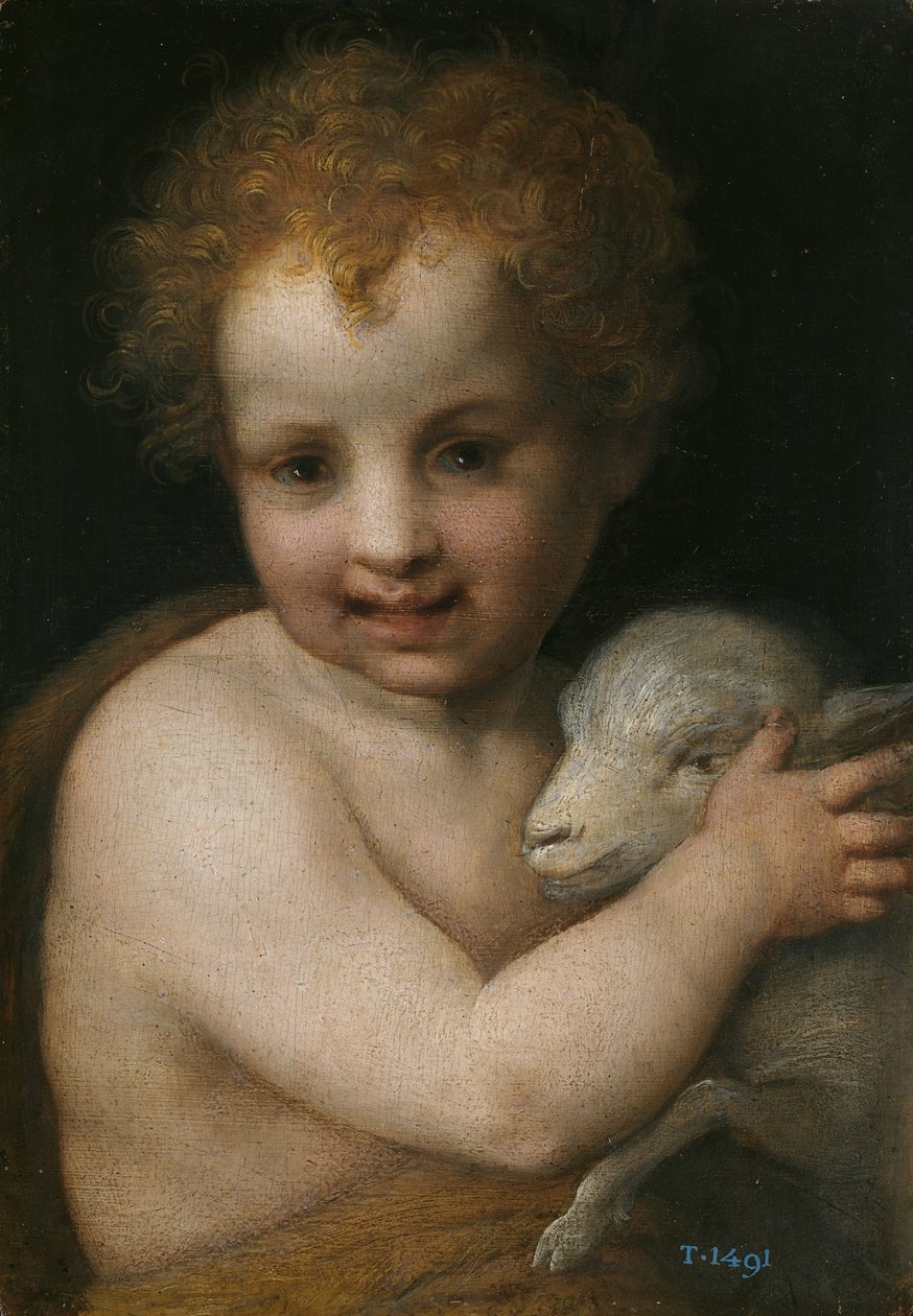 Johannes der Täufer als Kind von Andrea del Sarto