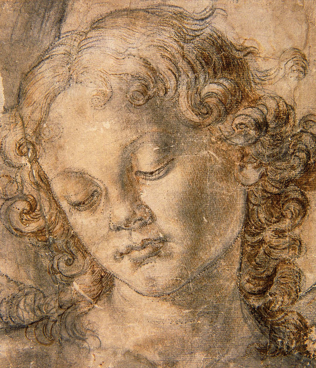 Kopf eines Engels von Andrea del Verrocchio
