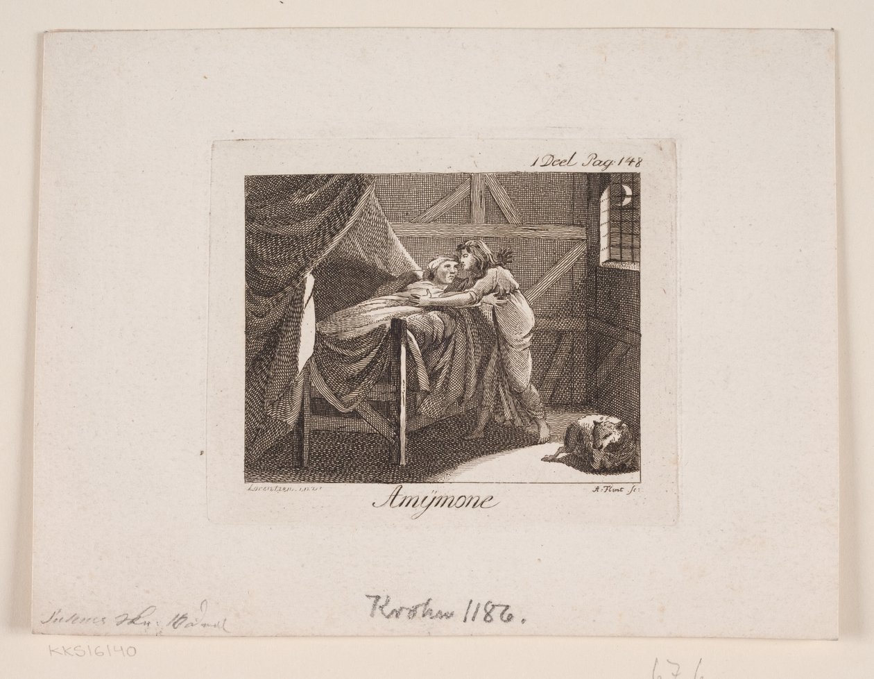 Amymone von Andreas Flint