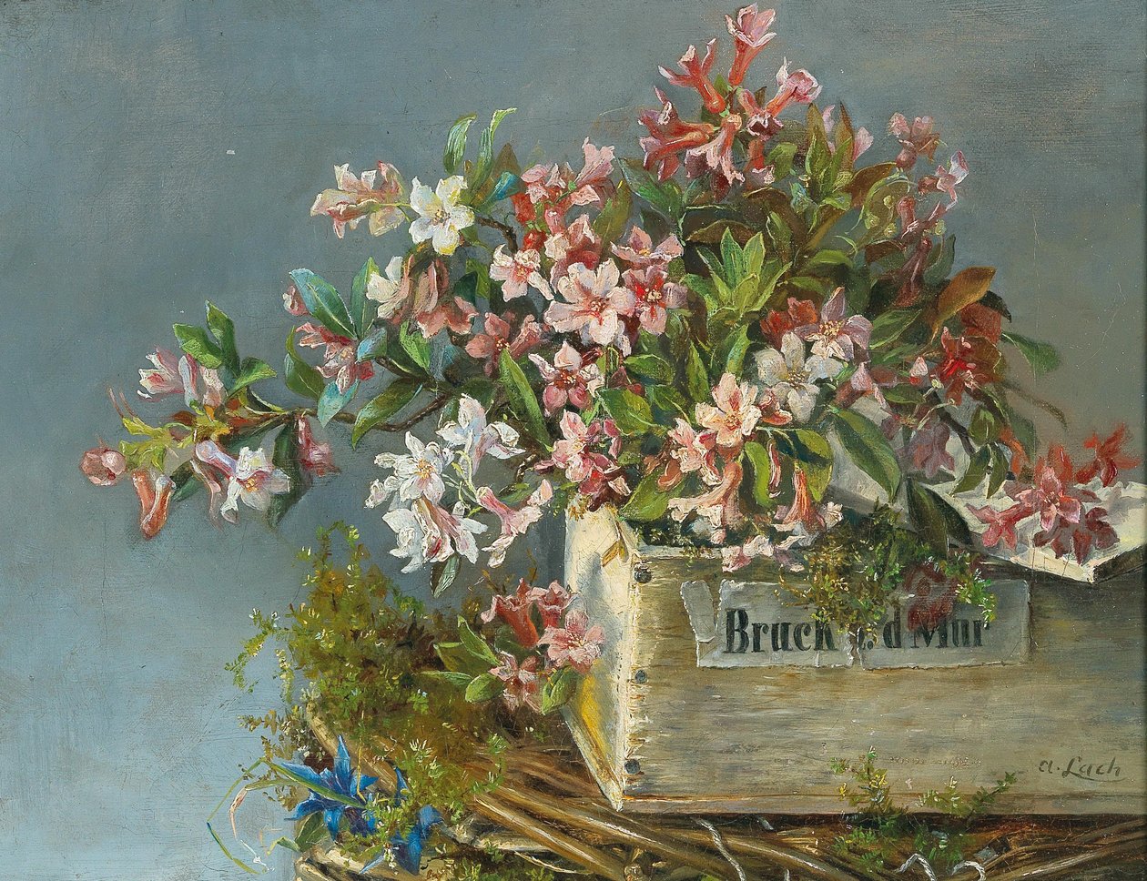 Alpenrosen in einem Fensterkasten von Andreas Lach
