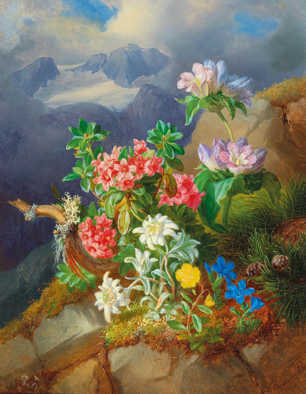 Alpenblumen von Andreas Lach