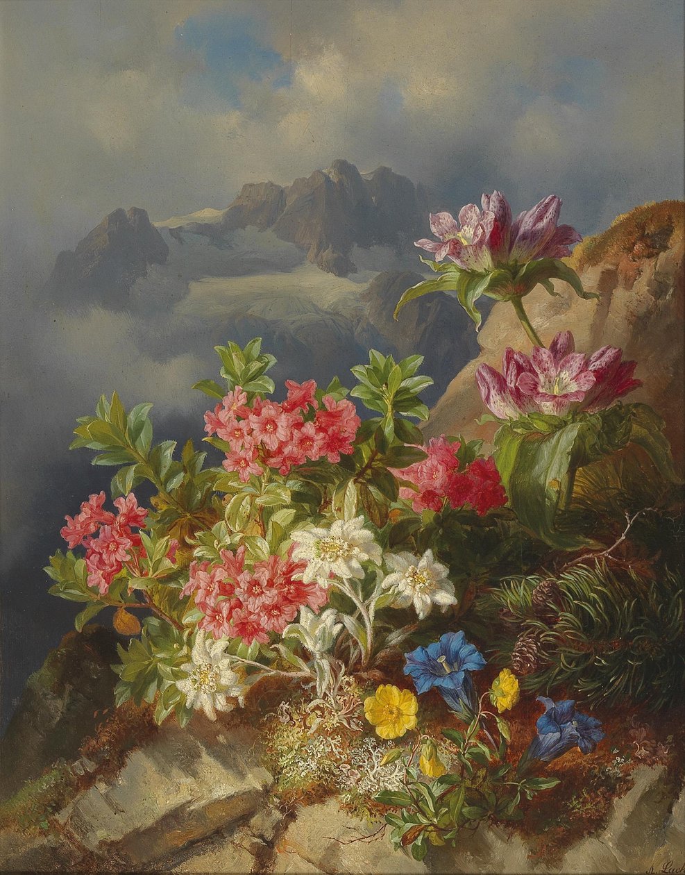 Stillleben mit Alpenblumen von Andreas Lach
