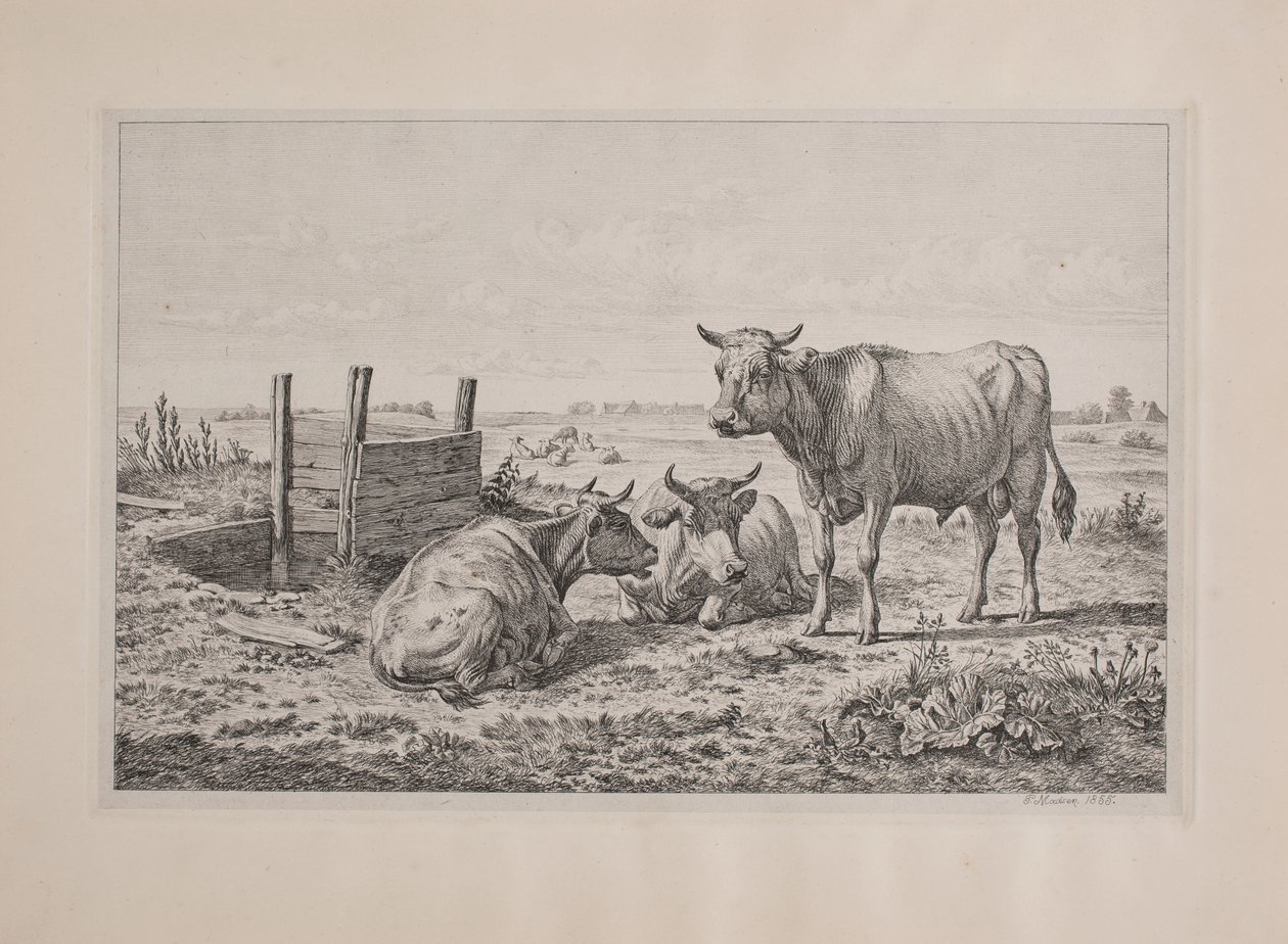 Ein Stier und zwei Kühe von Andreas Peter Madsen