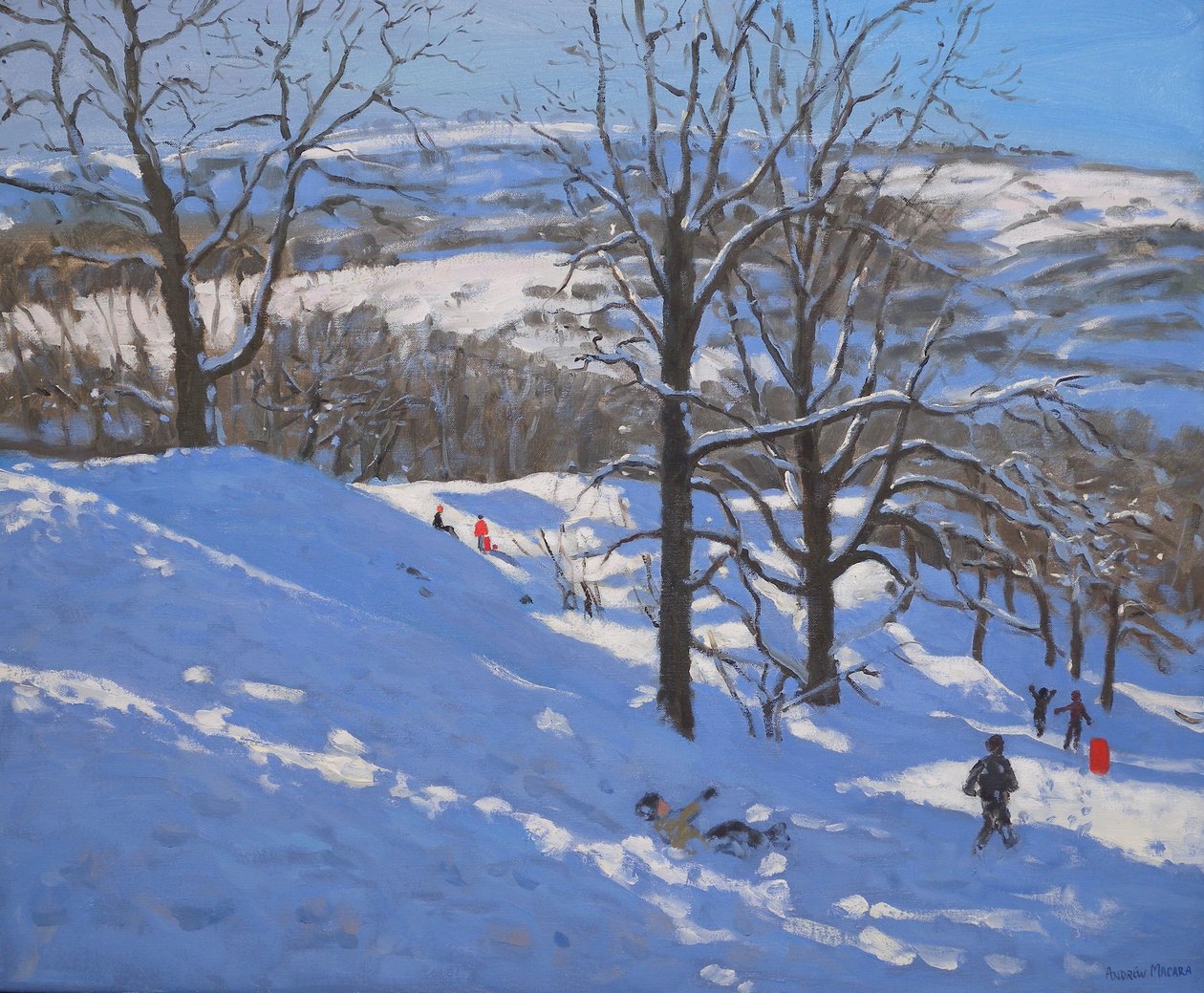 Schwarze Felsen, Derbyshire, 2009 von Andrew Macara