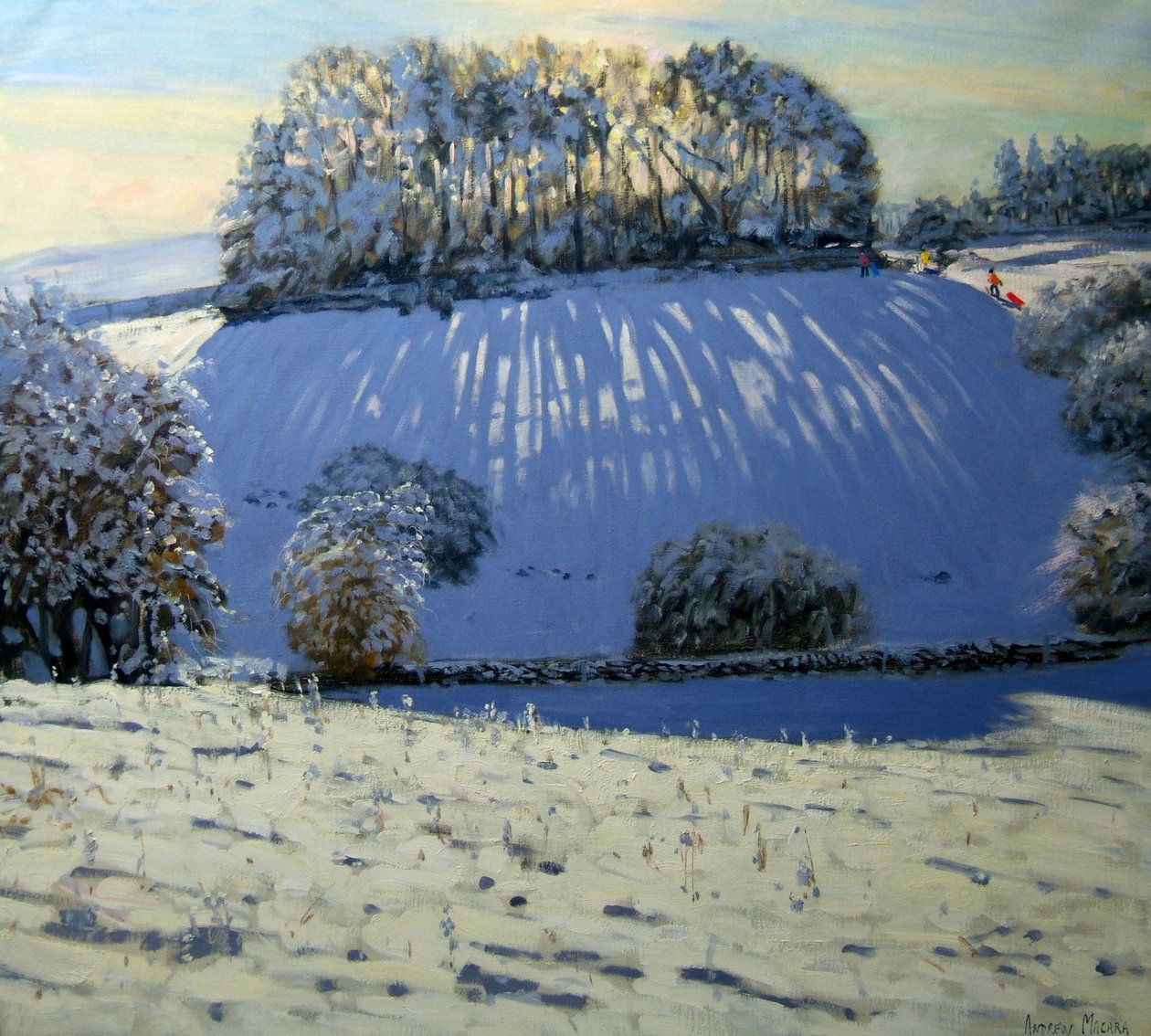 Feld der Schatten, in der Nähe von Youlgrave, Derbyshire von Andrew Macara