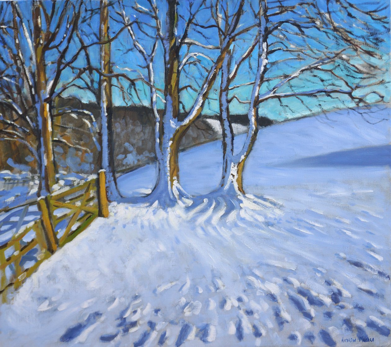Tor und Bäume, Winter, Dam Lane, Derbyshire, 2013 von Andrew Macara