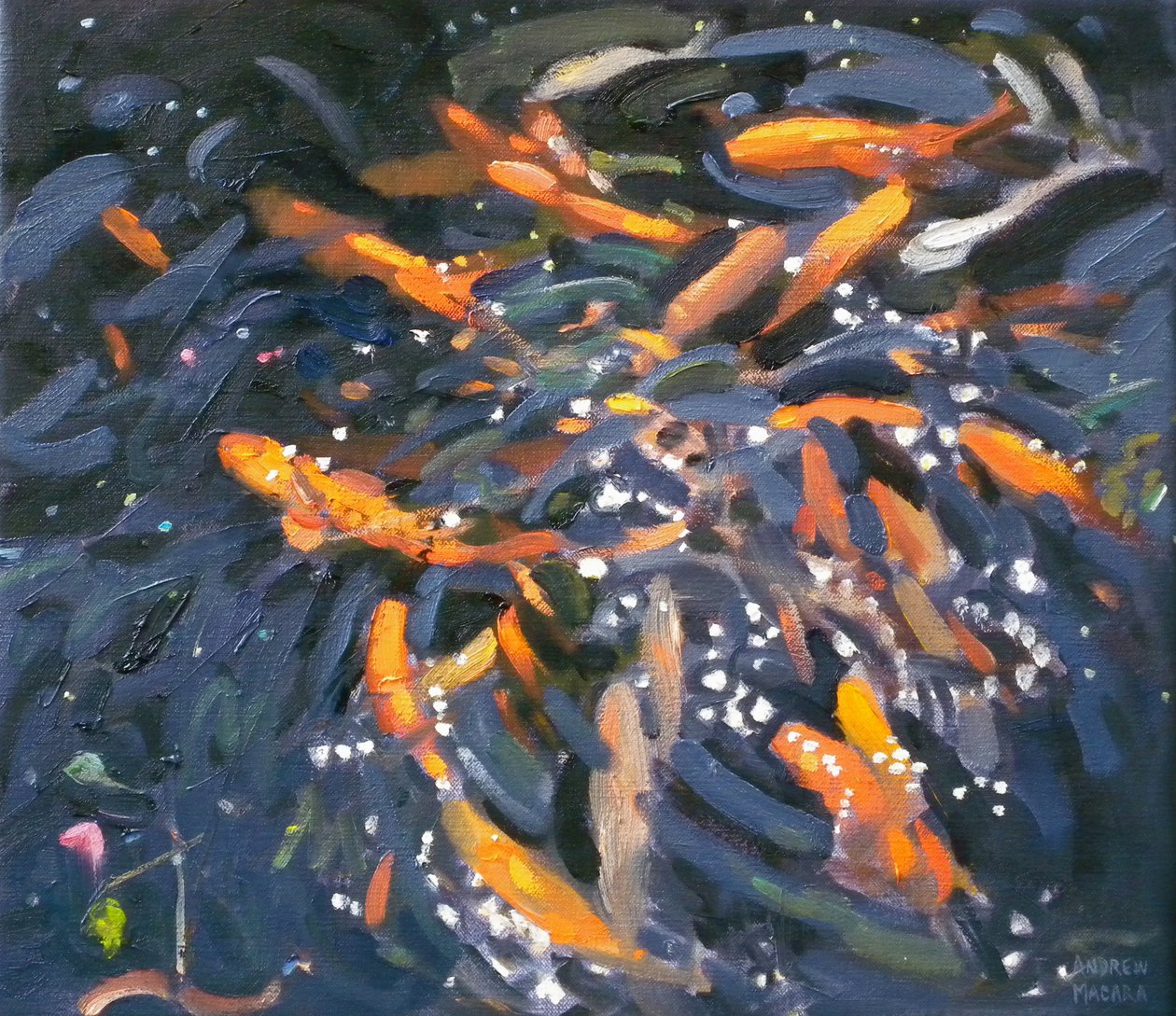 Goldfisch, 2010 von Andrew Macara