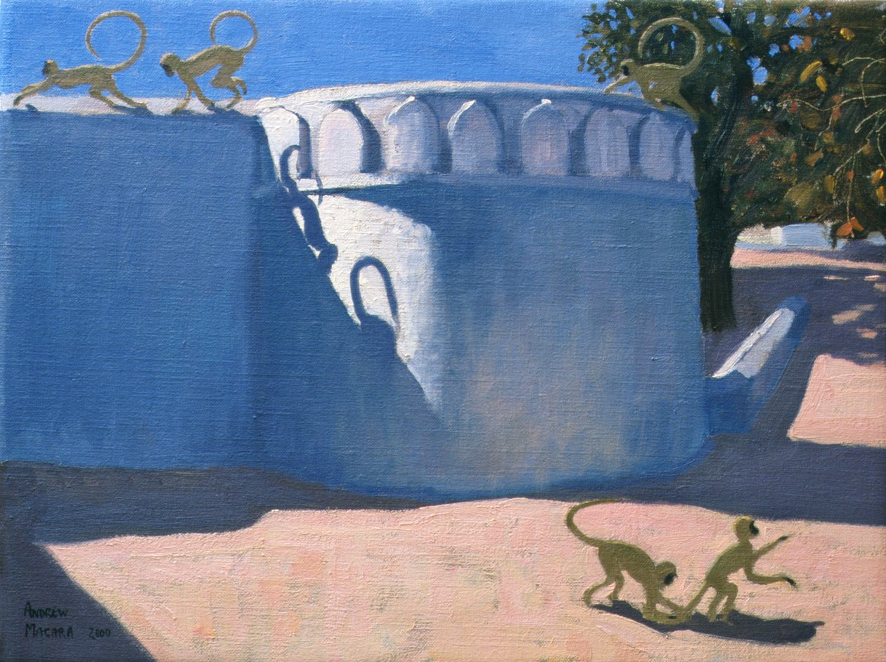 Affentempel, Indien, 2000 von Andrew Macara
