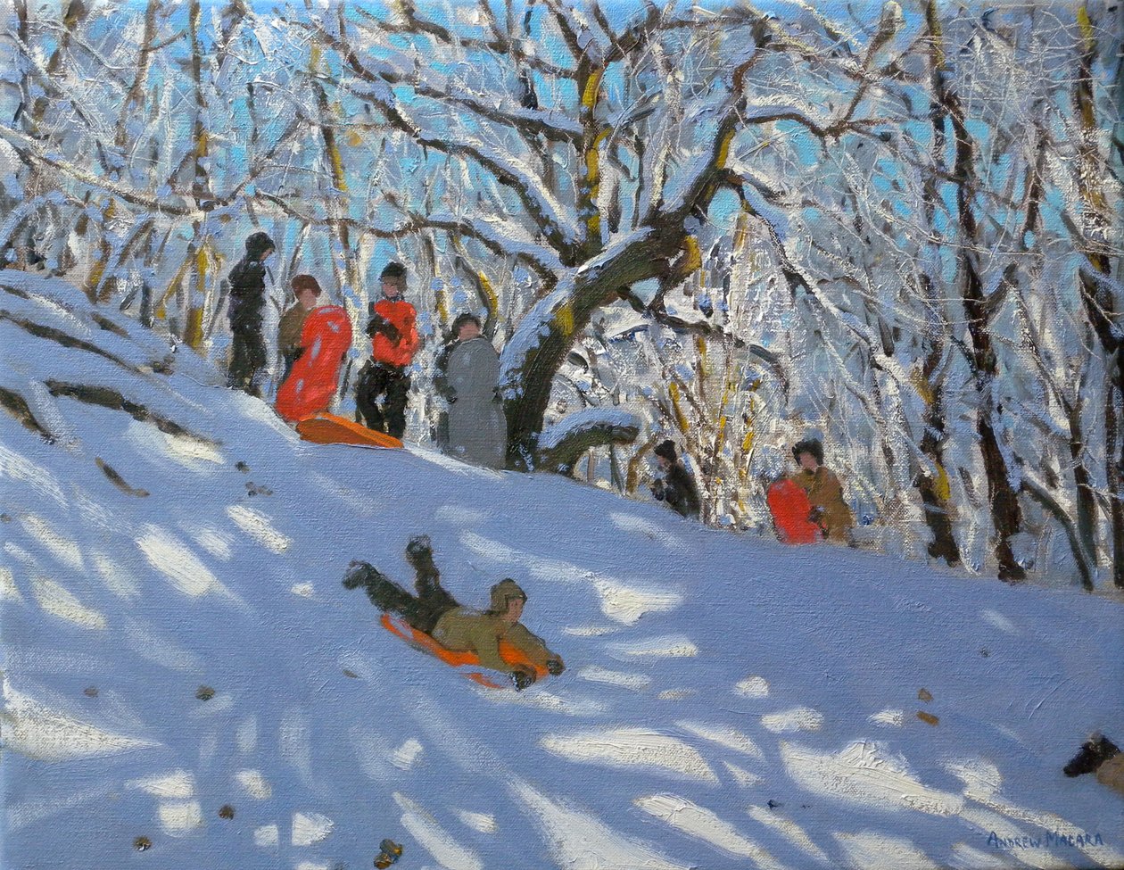 Schlittenfahren in Allestree Woods, 2011 von Andrew Macara