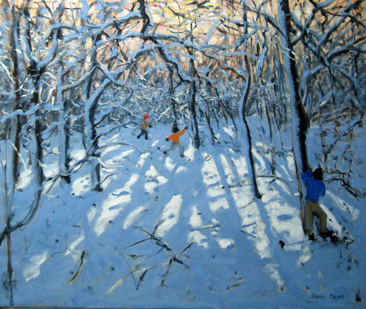 Winterwald, in der Nähe von Newhaven, Derbyshire von Andrew Macara
