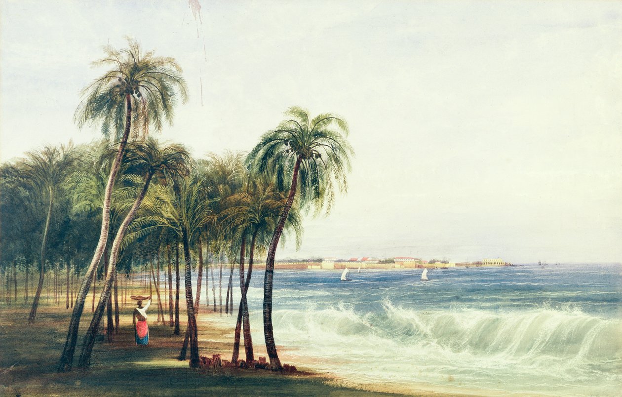 Ansicht von Colombo, Ceylon von Andrew Nicholl