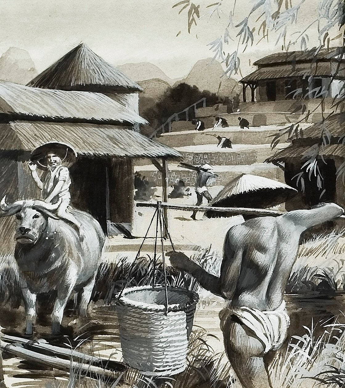 Landwirtschaft in China von Andrew Howat