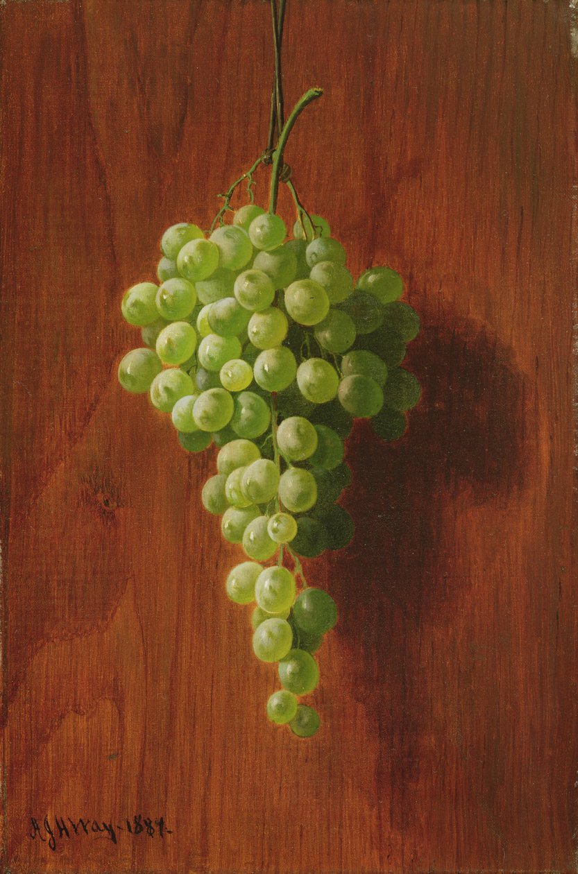 Trauben (Grün), 1884 von Andrew John Henry Way