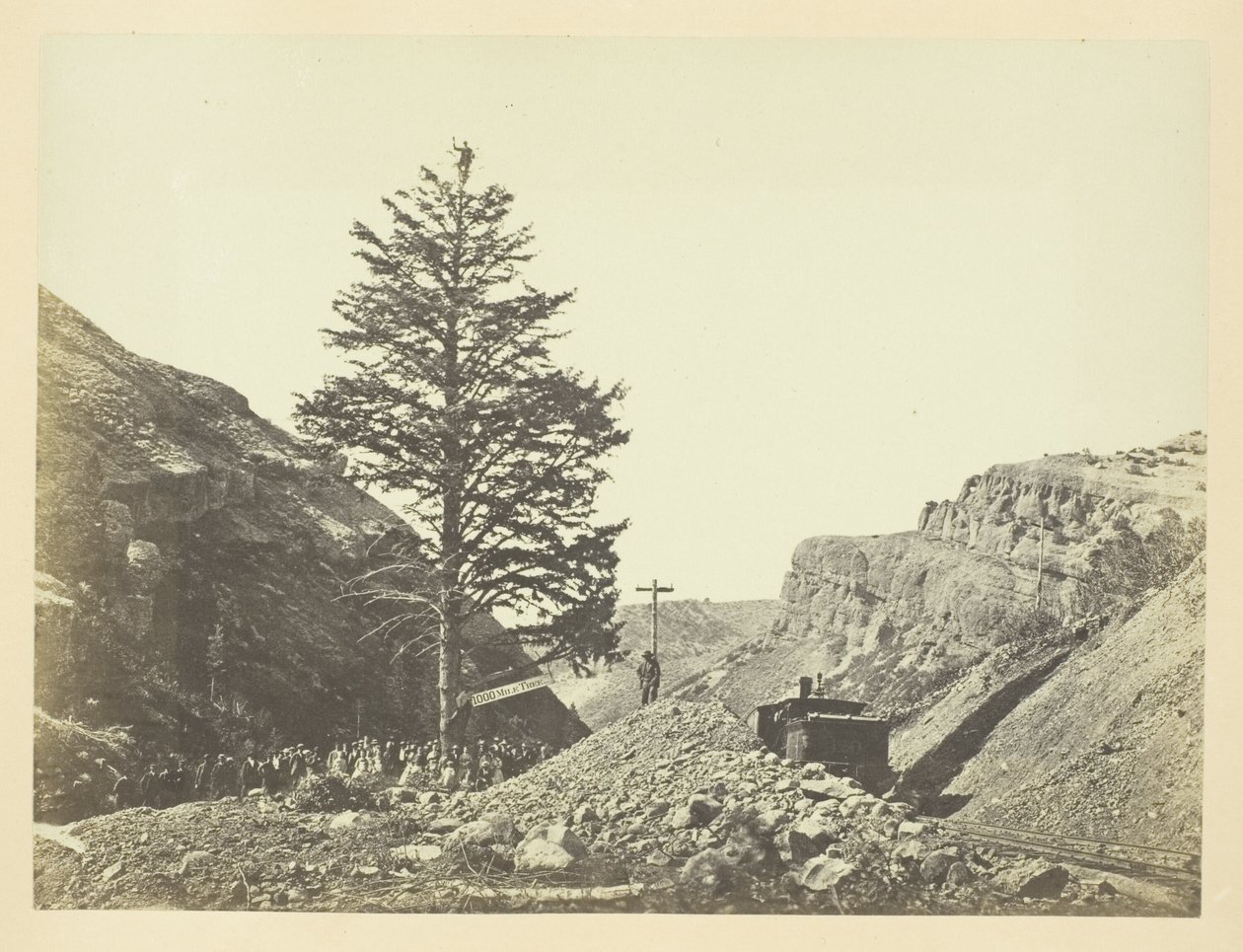Tausend-Meilen-Baum, Wilhelminas Pass von Andrew Joseph Russell