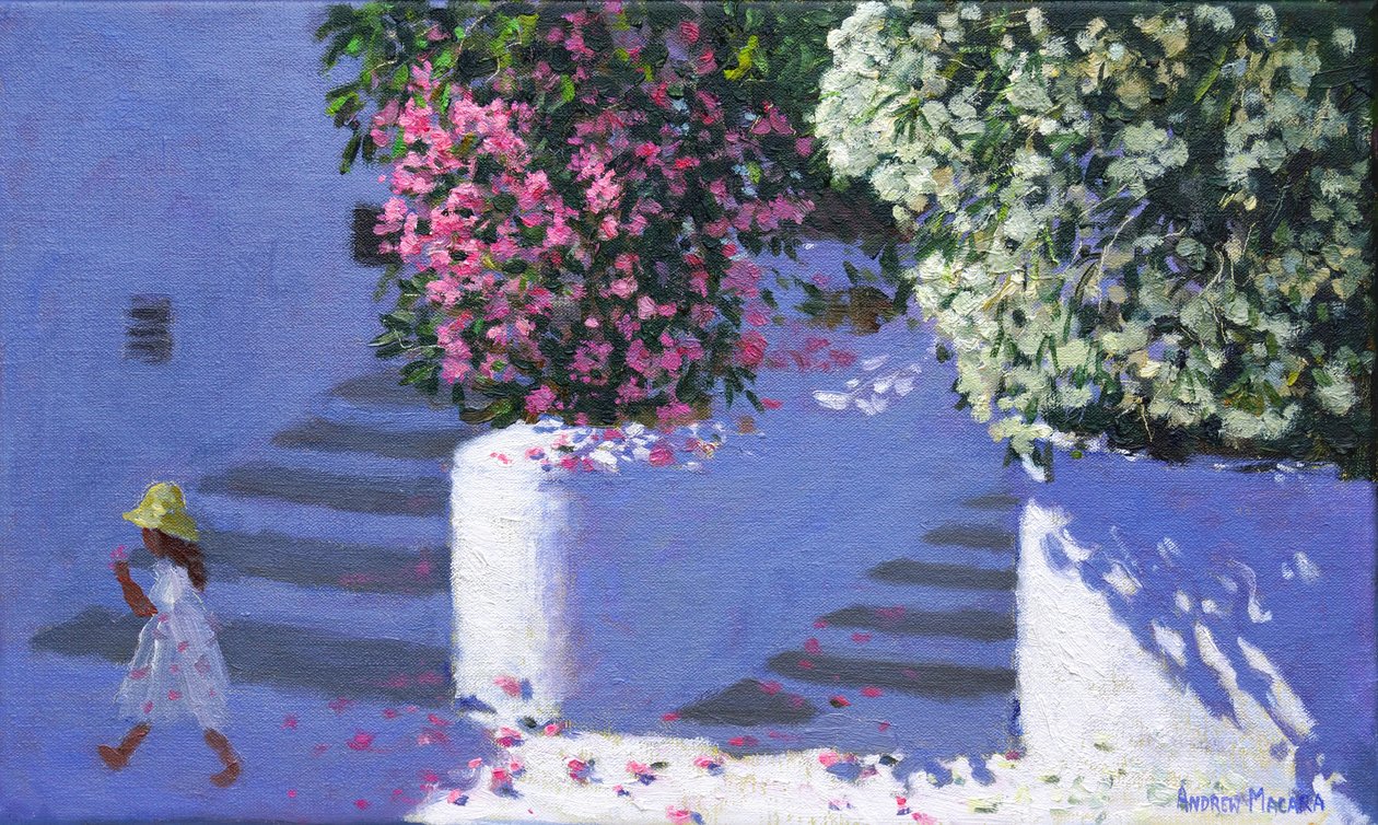 Bougainvillea, Anandas, Milos, Griechische Inseln von Andrew Macara