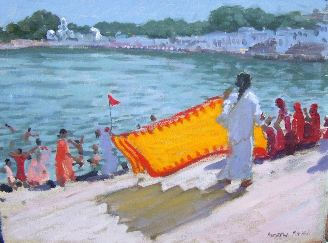 Sari trocknen, Pushkar von Andrew Macara