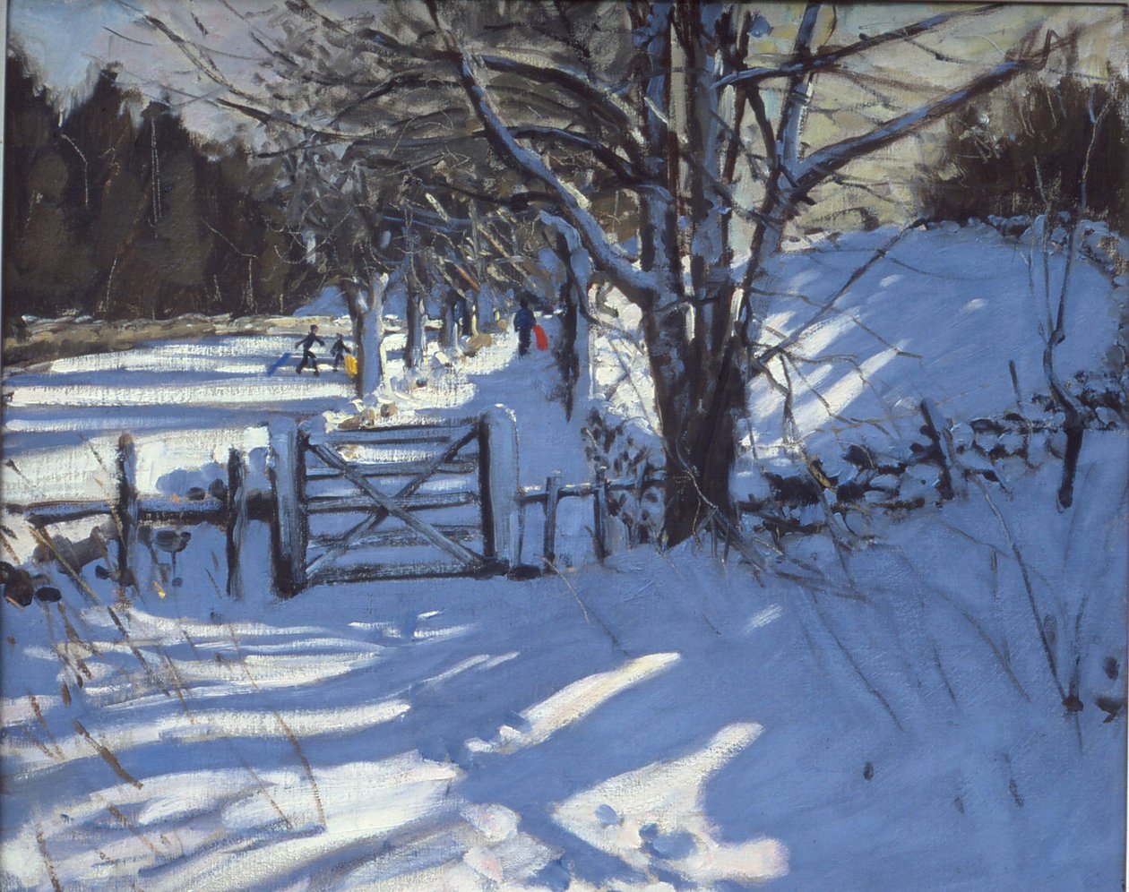 Tor in der Nähe von Youlgreave, Derbyshire von Andrew Macara