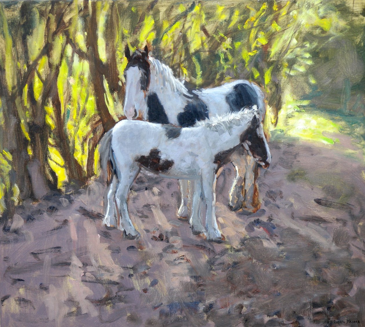 Stute und Fohlen, 2011 von Andrew Macara