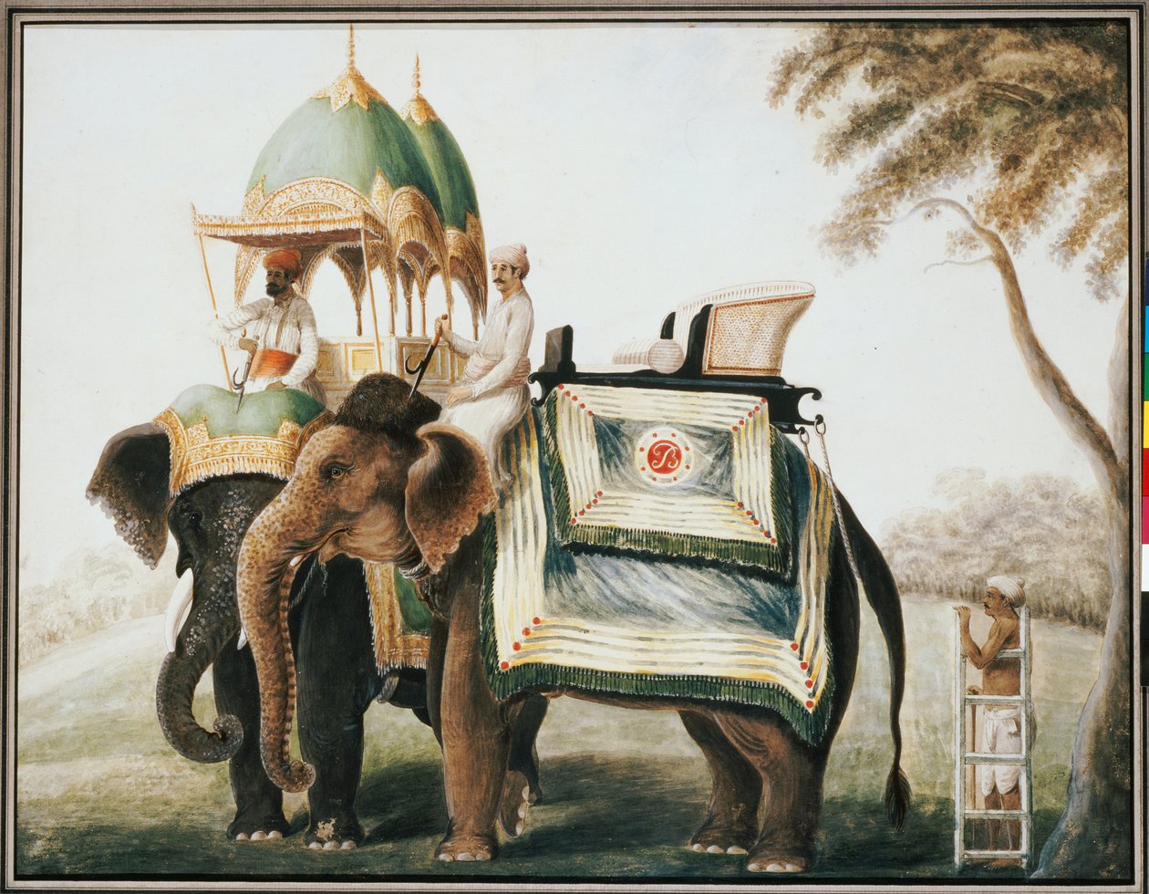 Elefanten mit ihrem Mahout, ca. 1815 von Anglo Indian School