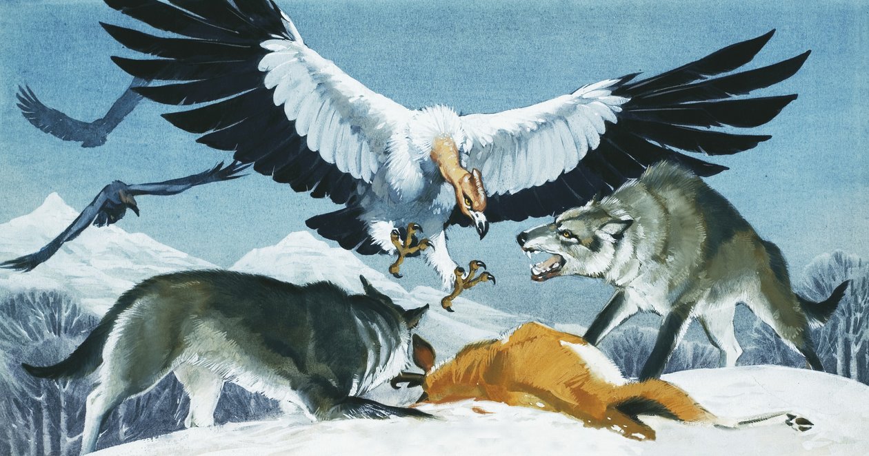 Teratornis von Angus McBride