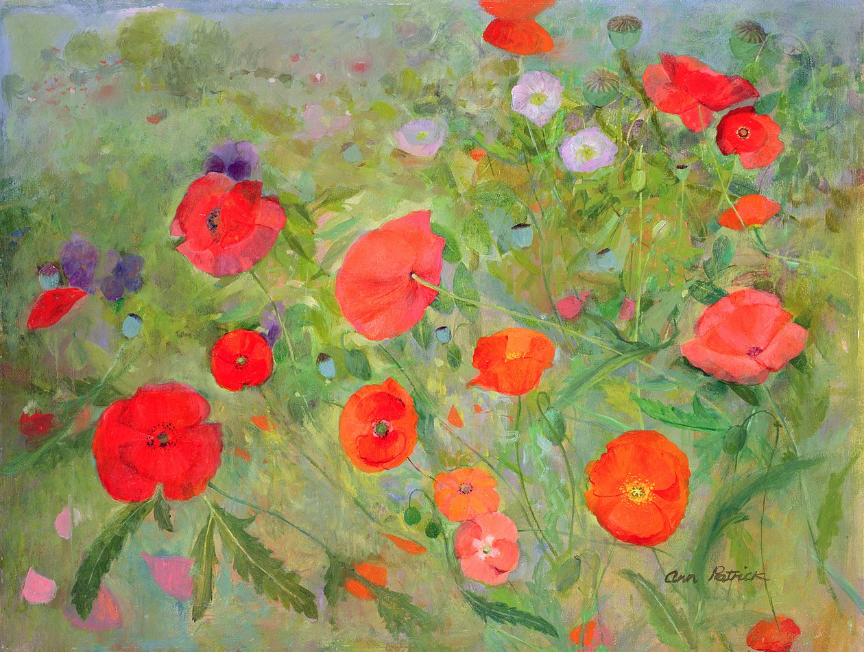 Arpeggiando, 1998 von Ann Patrick