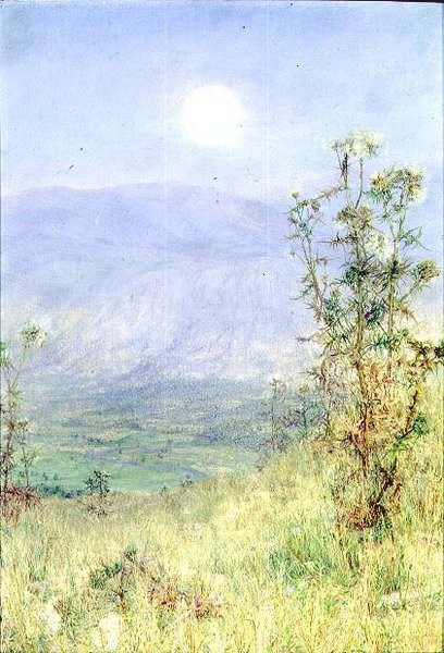 Die Ernte des Müßiggängers von Anna Alma Tadema