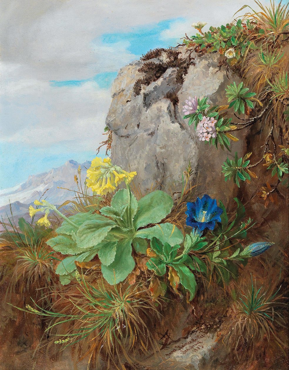 Alpenblumen von Anna Stainer Knittel