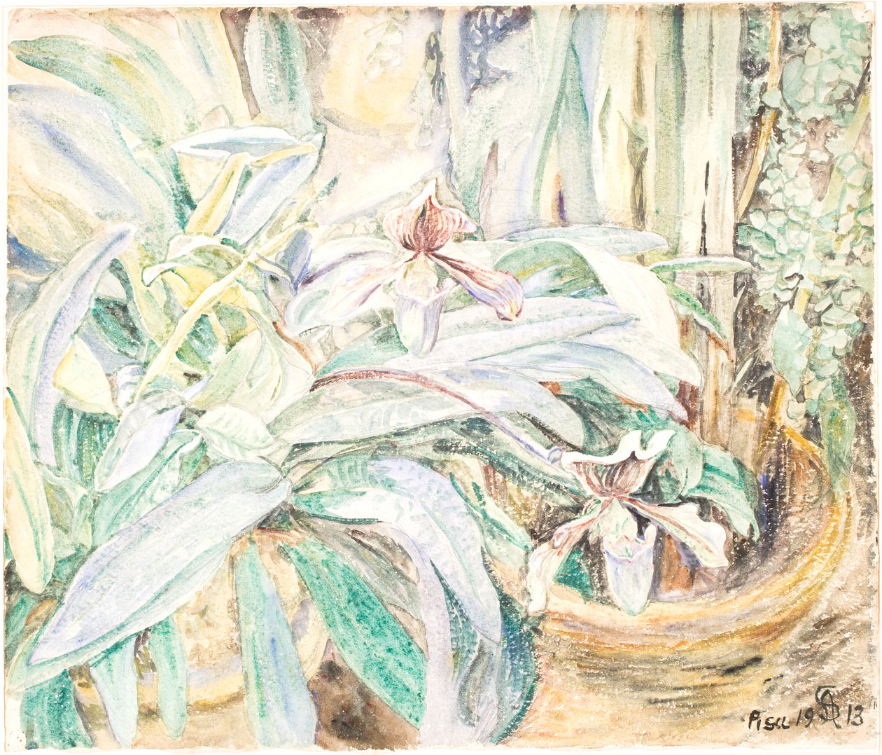 Orchideen, Botanischer Garten, Pisa von Anna Syberg