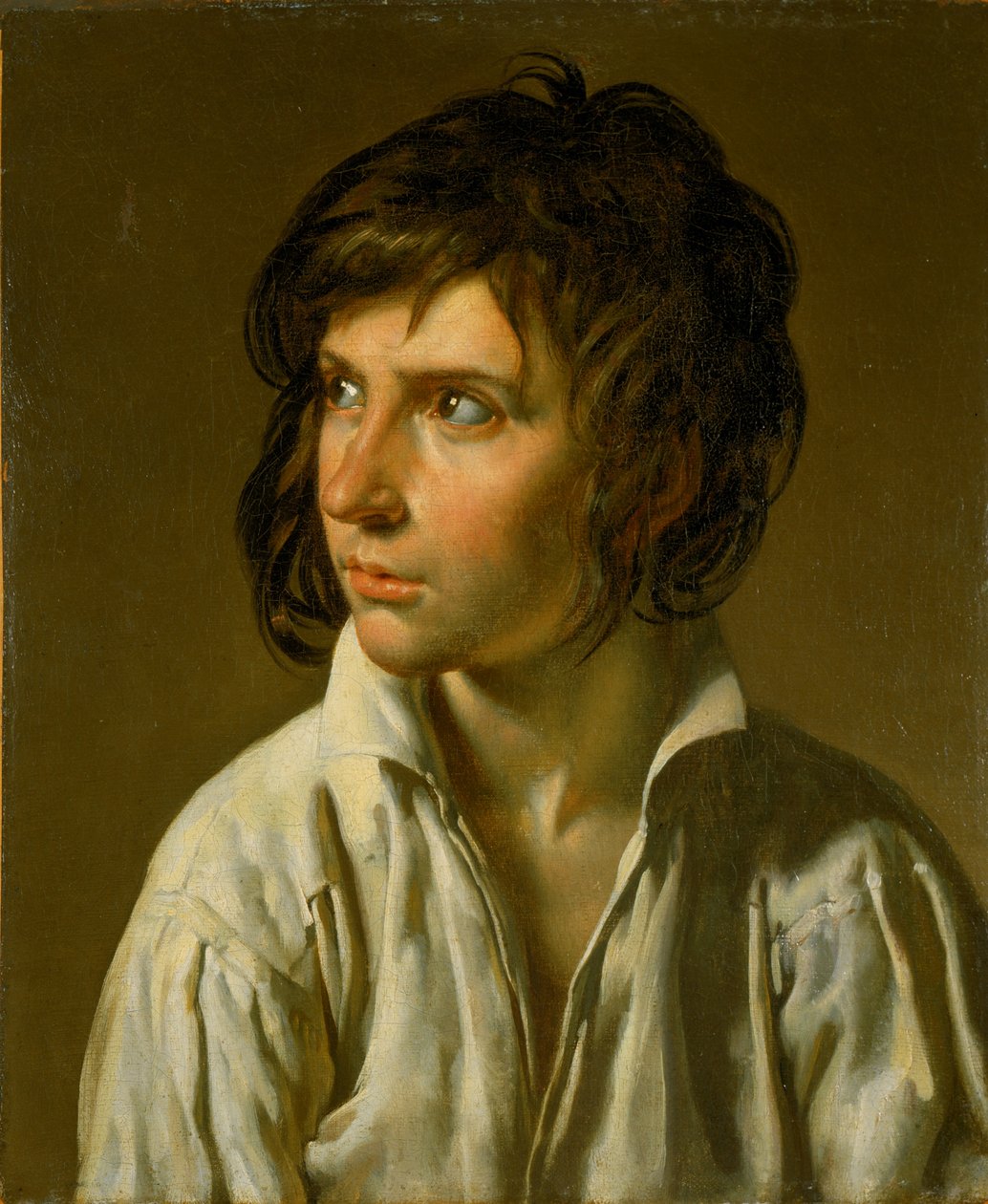 Porträt einer Jugend von Anne Louis Girodet de Roussy Trioson