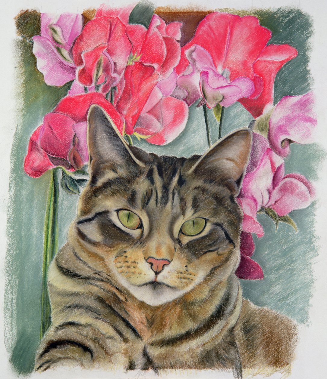 Katze mit Süßwicken von Anne Robinson