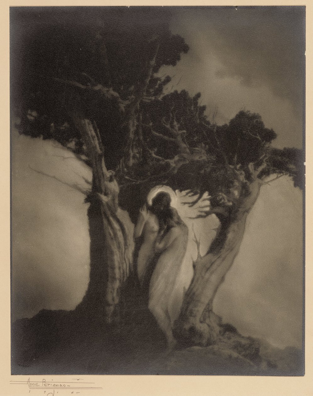 Das Herz des Sturms von Anne W. Brigman
