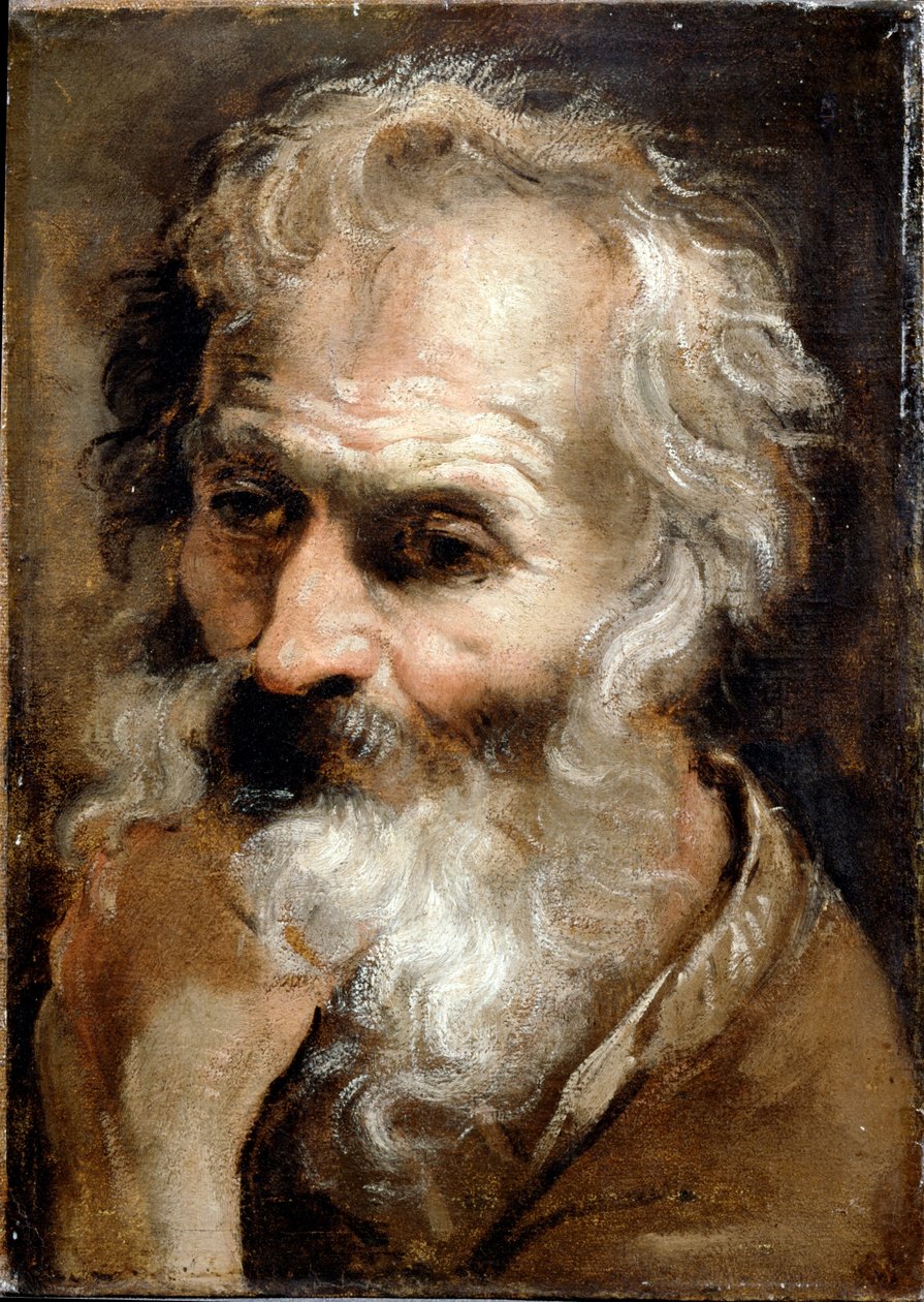 Kopf eines alten Mannes von Annibale Carracci