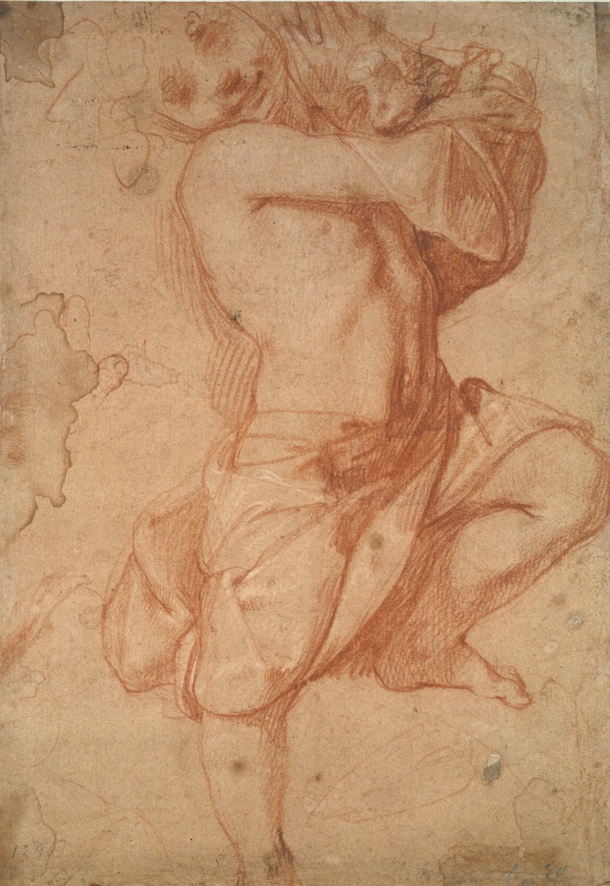 Halbnackter Junge, spätes 16. Jahrhundert von Annibale Carracci