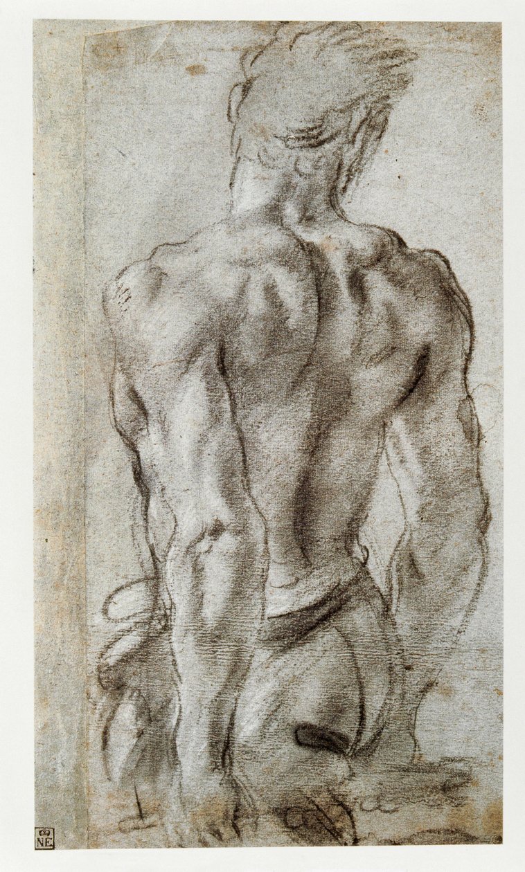 Studie einer männlichen Figur von Annibale Carracci