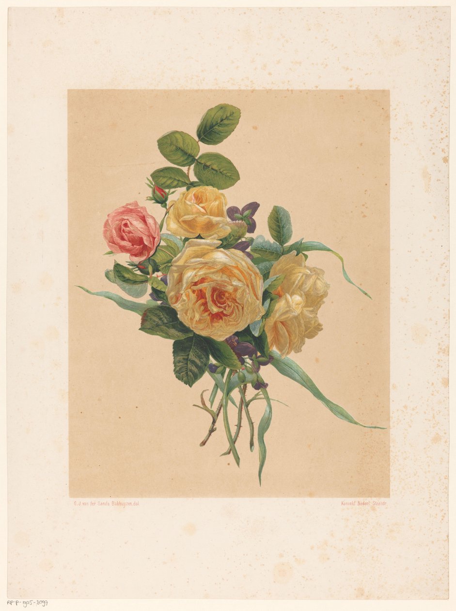Strauß Rosen und Veilchen von Anonymous