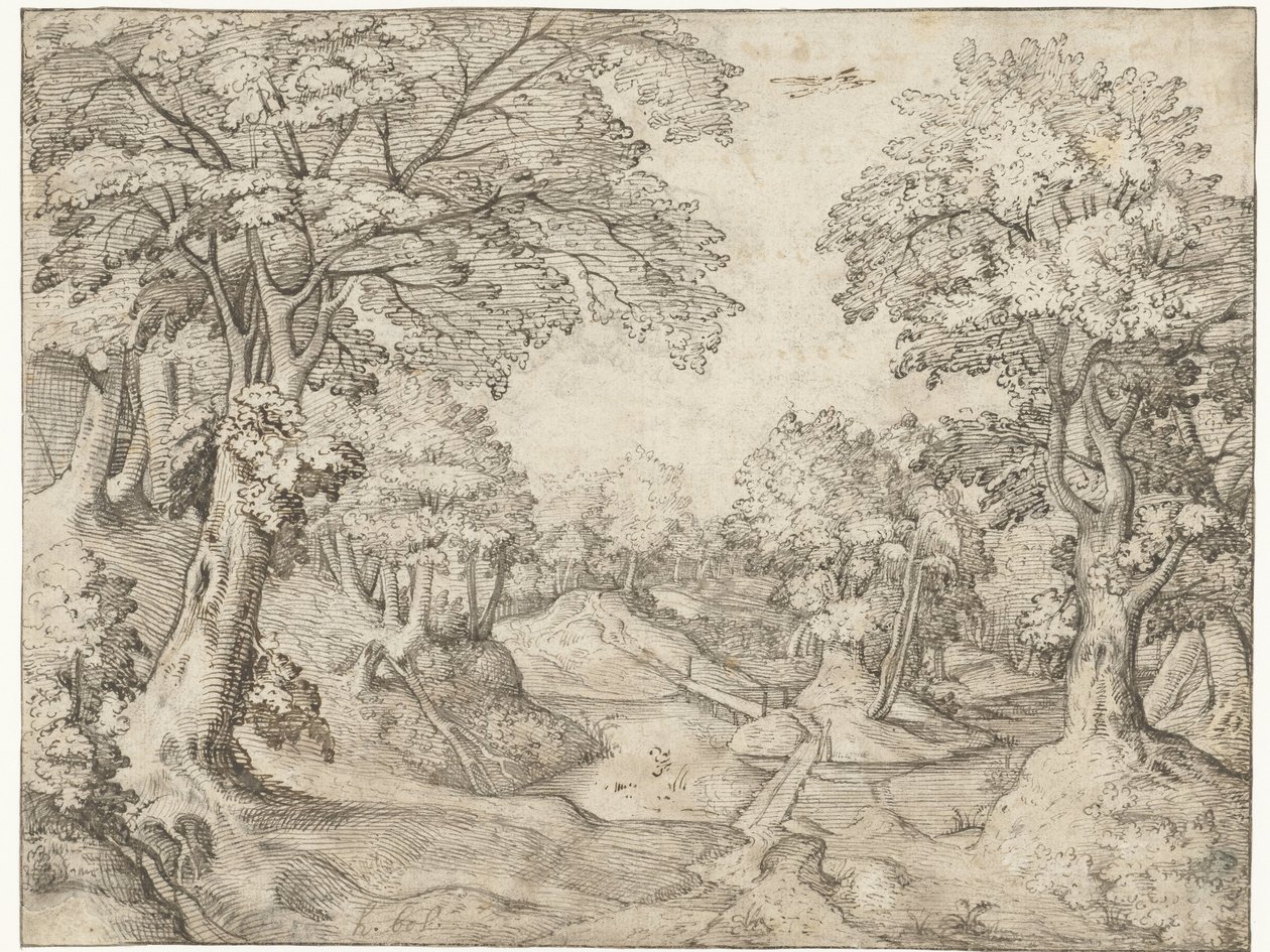 Waldlandschaft mit einem Bach von Anonymous