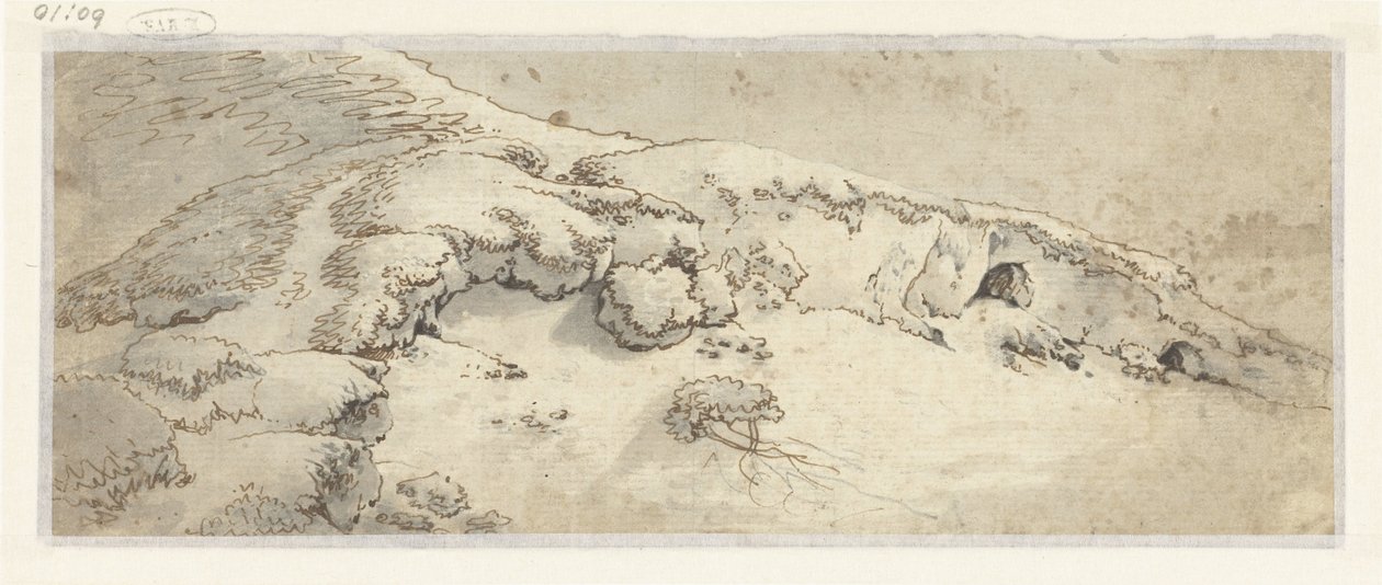 Dünenlandschaft von Anonymous