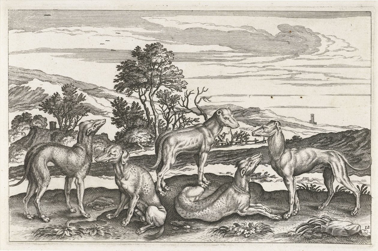 Jagdhunde von Anonymous