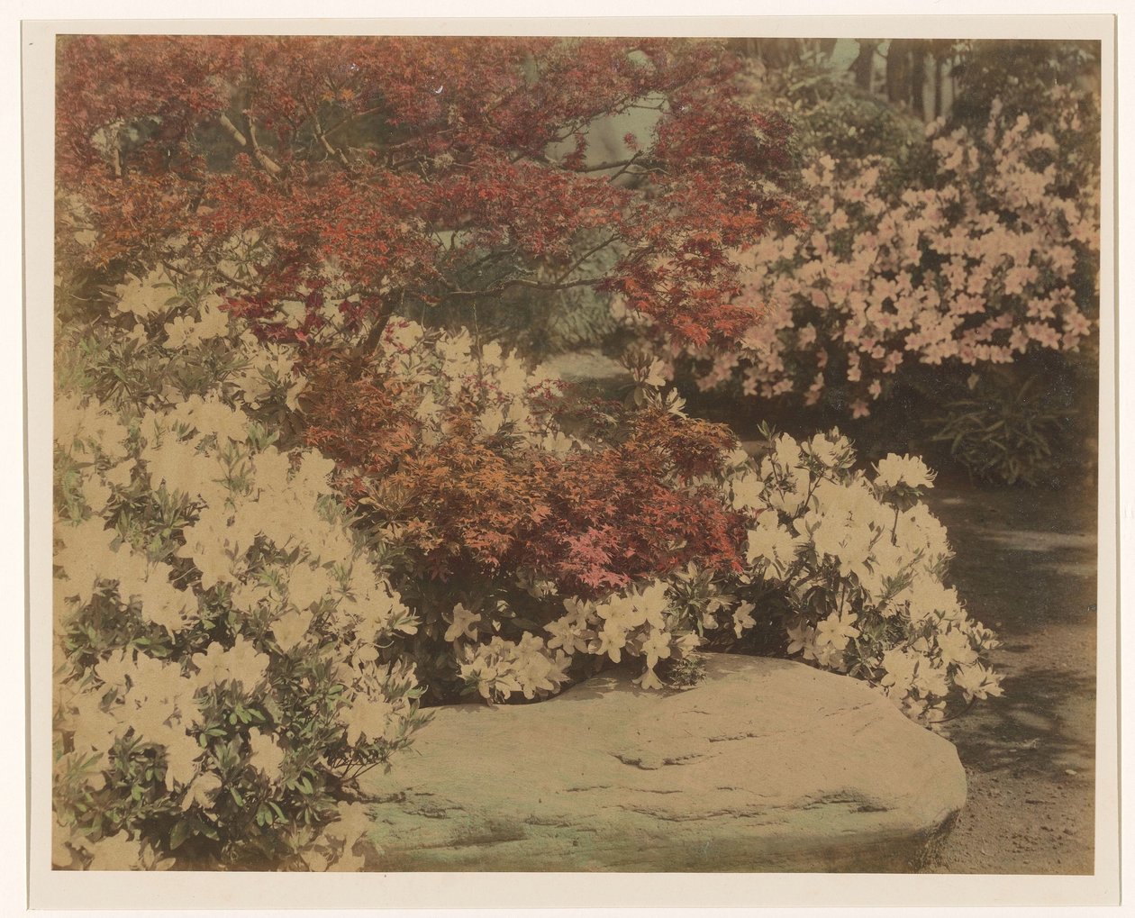 Japanischer Garten mit Blumen von Anonymous