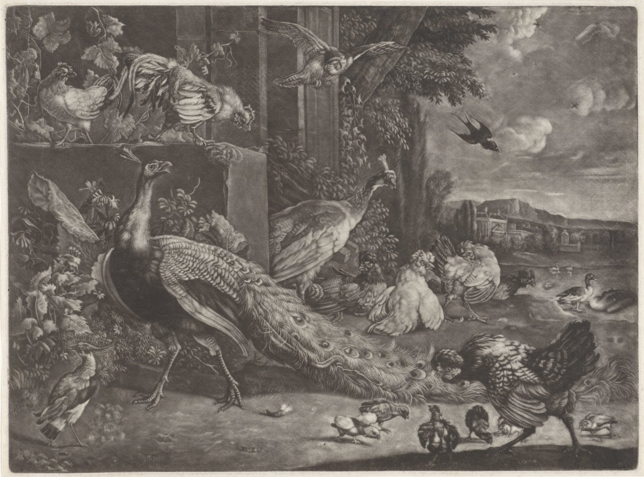 Landschaft mit Geflügel von Anonymous
