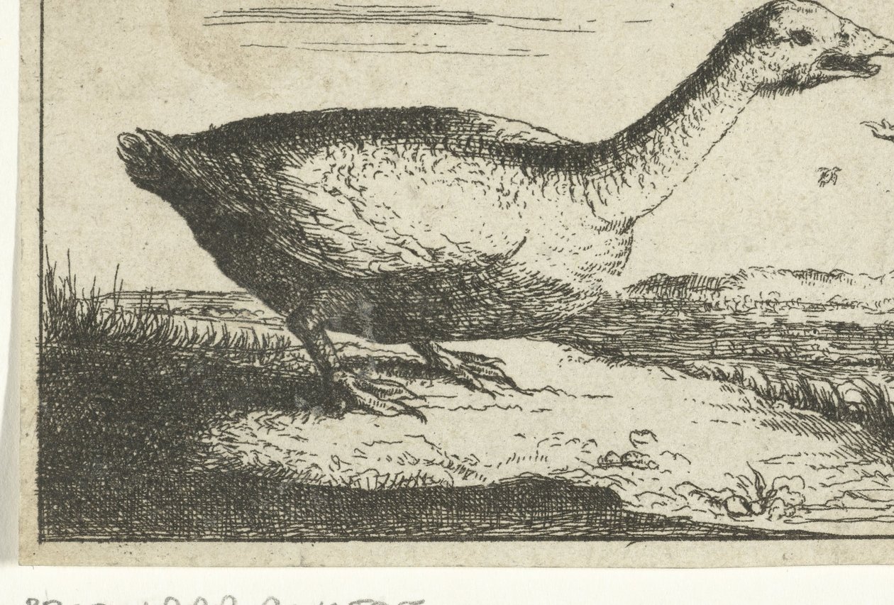 Landschaft mit Wildgans von Anonymous