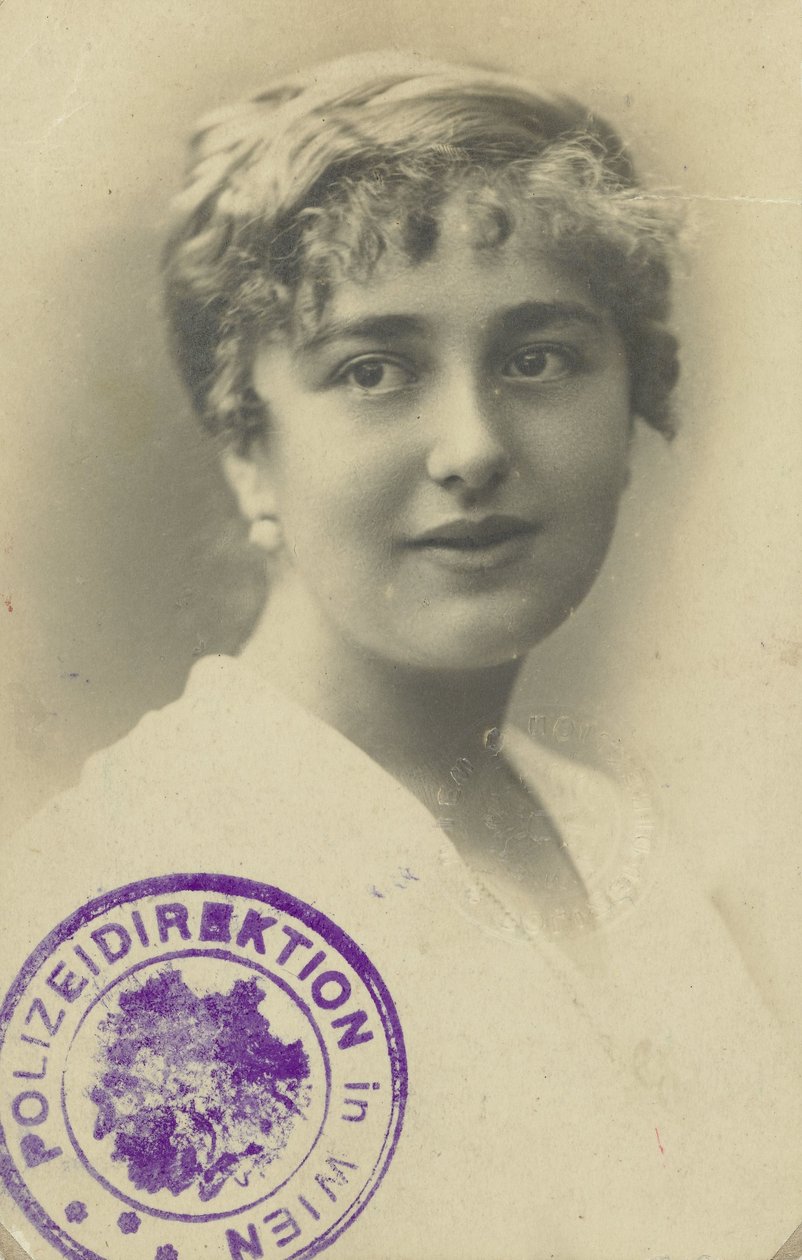 Führerschein von Elsa Silberstein von Anonymous