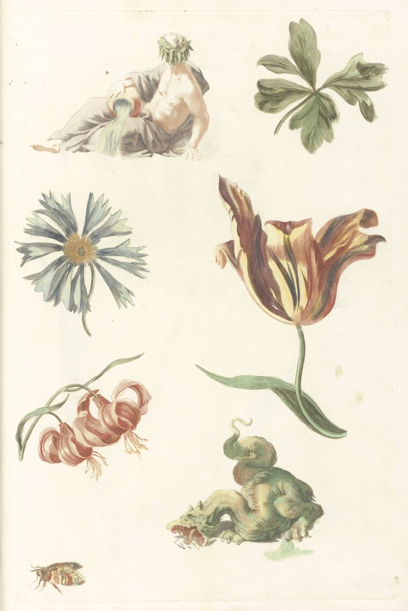 Flussgott, ein Drache und vier Blumen von Anonymous