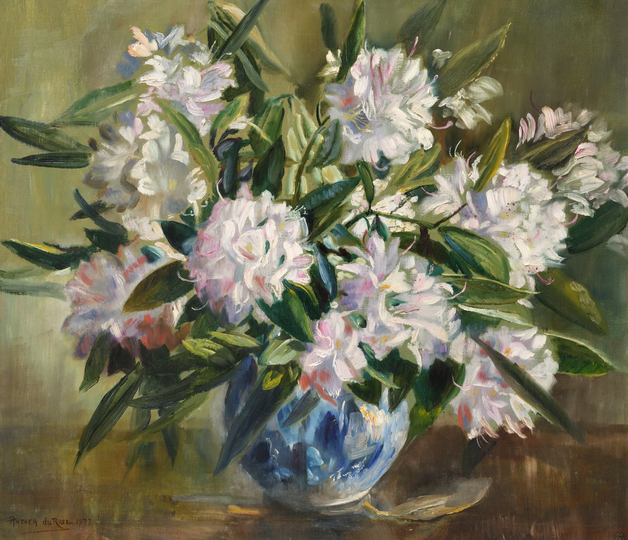 Rhododendren, blassweiß und rosa von Anthea Durose