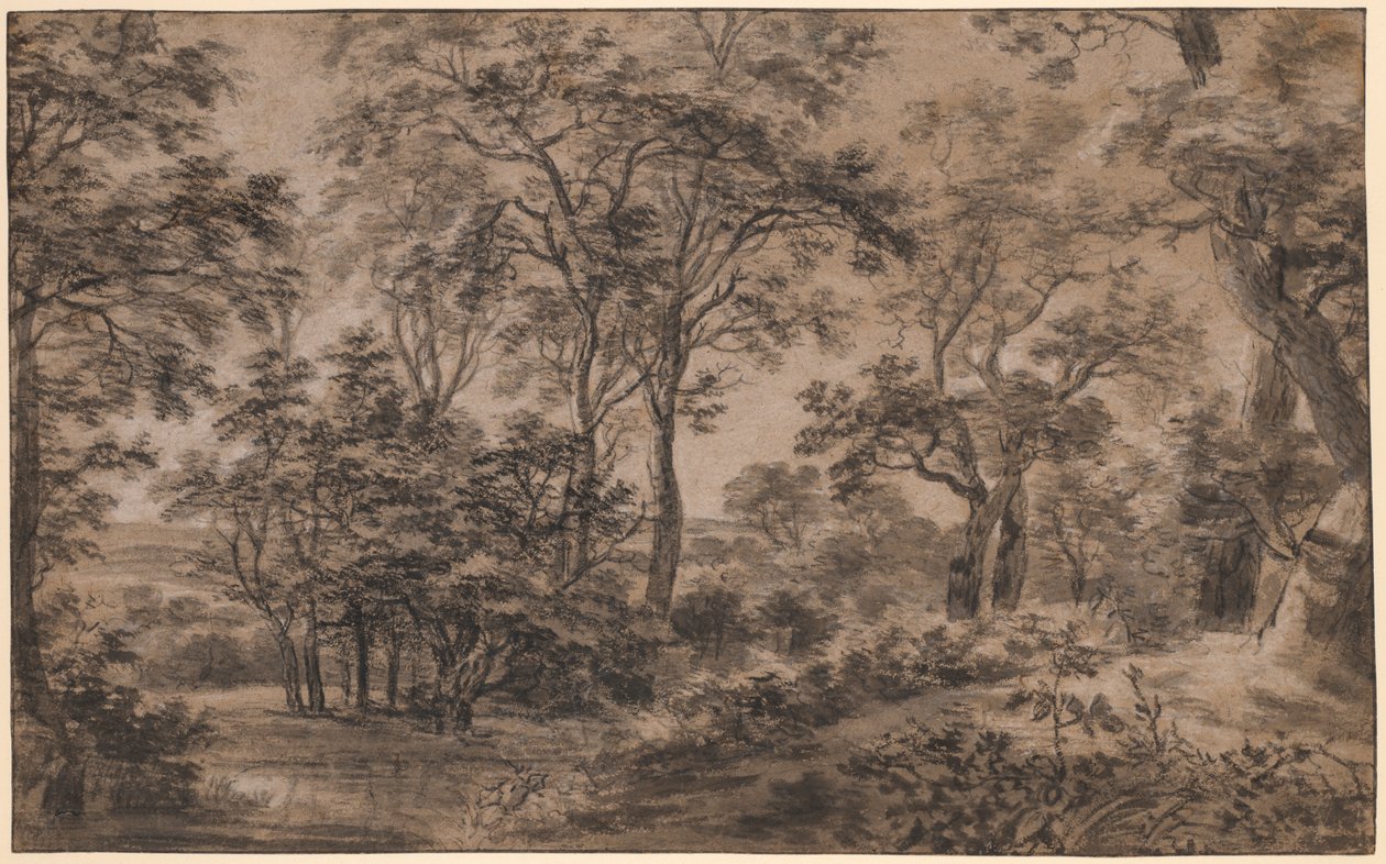 Waldlandschaft von Anthonie Waterloo